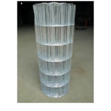PVC Coated Welded Holland Wire Mesh/Euro Fence/Fencing